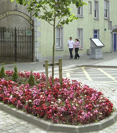 Picture Flower Beds on Fethard News July 26th 2002