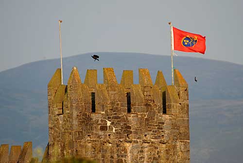 Munster Flag in Fethard