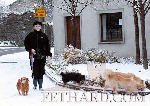 Philomena Morrissey taking her dogs for a walk in the snow last Sunday.