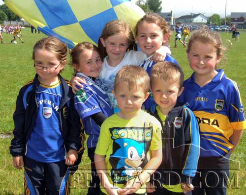 Fethard supporters at the Munster finals: RoisIn Geoghegan, Aine Connolly, Emily Spillane, Kaycie Ahern, Nicole Delaney with boys Lee Delaney and Troy Delaney
