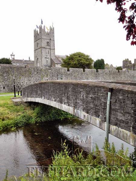 
Russell O'Meara, Woodvale Walk, sent us this photograph taken by Fethard Town Wall recently. 