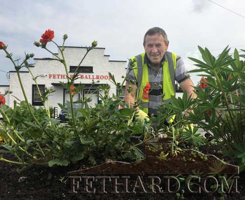 Joe Keane, chairman of Fethard Tidy Towns since 2009, photographed attending to the flower beds at the ballroom car park.