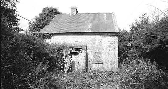 Ballysheehan where James Cooney, owner of the stolen pigs lived in 1840. Photo shows Terry Cunningham, Fethard Historical Society, on the site in August 1988.