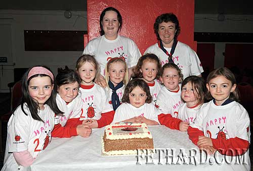 Celebrating the 20th Anniversary of Ladybirds in Ireland with a special birthday cake are Fethard Ladybirds L to R: Megan Hackett, Lucy Spillane, Laura Kiely, Emma Jane Burke, Rose O'Donnell, Edel Walsh, Rachel Prout, Nell Spillane and Allison Connolly. Back L to R: leaders Pamela Daly and Catherine O'Donnell. 
