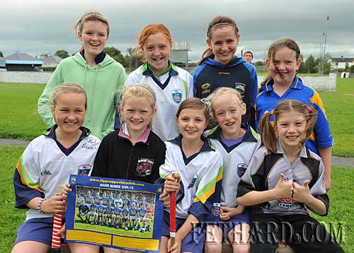 Local girls taking part in the Fethard Juvenile GAA VHI Cúl Summer Camp. Back L to R: Katie Butler, Niamh Shanahan, Laura Ryan, Katie Ryan. Front L to R: Aimée O'Donovan, Sally Butler, Ciara Hayes, Amy Brophy and Laura Hards.