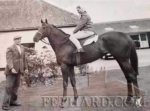 John Kenrick posted this photo of Caroline Palmer (Delmage) riding 'Ancasta' winner Irish Oaks in 1964. She was one of the very few women riding in racing stables then. Pictured at Vincent O'Brien's stables in Ballydoyle.