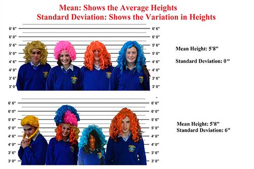 Fethard's 6th year class students using their knowledge of statistics