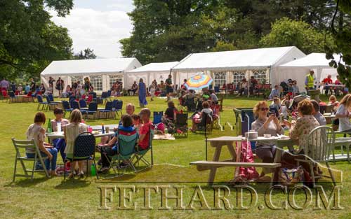 Last year’s ‘Musical Picnic’ on the lawns of Clonacody House, in aid of charity. This year’s event takes place this coming weekend, Saturday, July 14 and Sunday, July 15.