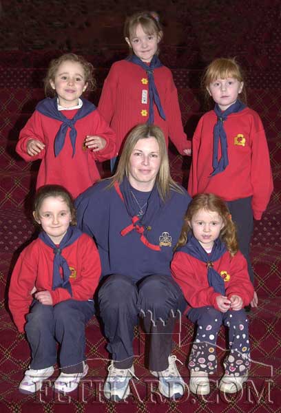 Fethard Ladybirds photographed at the regional 'Thinking Day' held in Fethard on Sunday, February 17, 2002. Back L to R: Aobh O'Shea, Emma Morrissey, Kayleigh Higgins. Front L to R: Nicola Harrington, Susan O'Meara (leader) and Ã�ine Proudfoot.