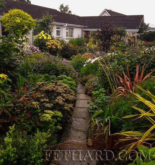 Pat Culligan sent us these photographs of his garden at his home in The Valley Fethard.