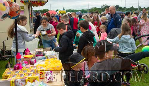General photographs at the first Fethard Festival Family Fun Day held at Fethard Town Park on Sunday, June 12, 2022.