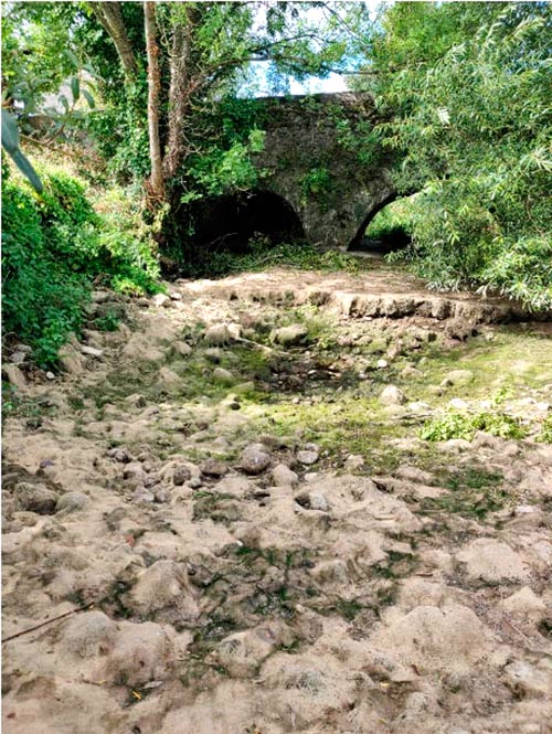 Above – Dried up riverbed. Note the layer of dead algae on the riverbed. 